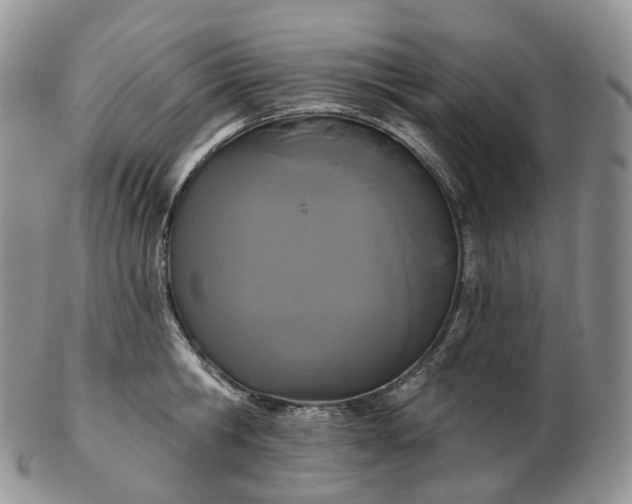 X0000102810806200809021157