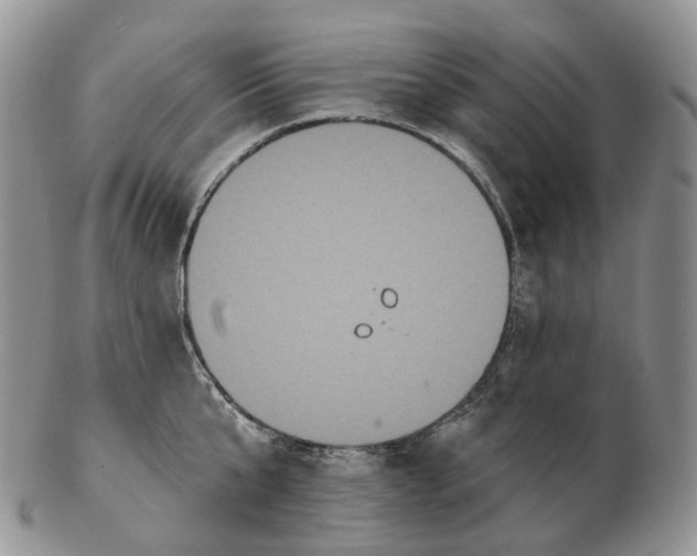 X0000102810807200809021157