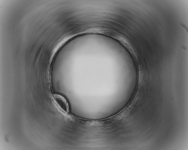 X0000102810808200809021157