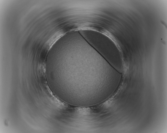 X0000102810809200809021157