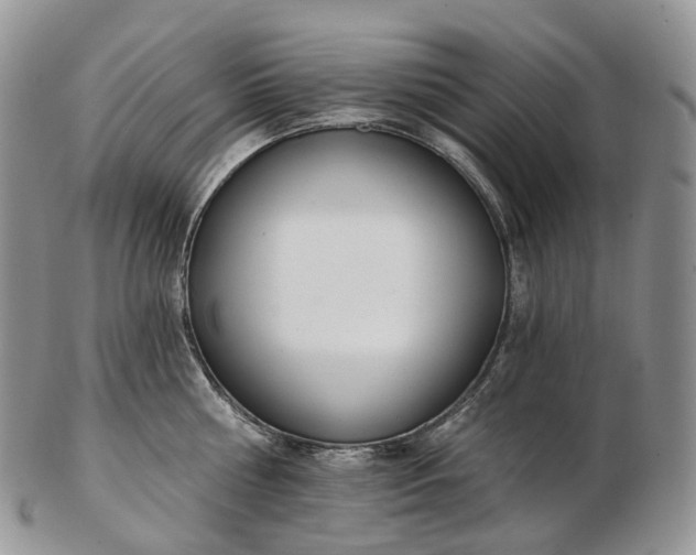 X0000102810810200809021157