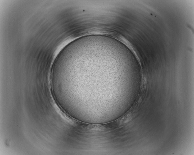 X0000102810811200809021157