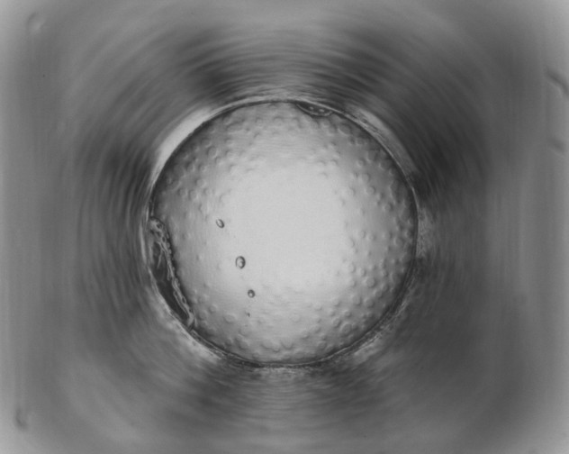 X0000102810812200809021157