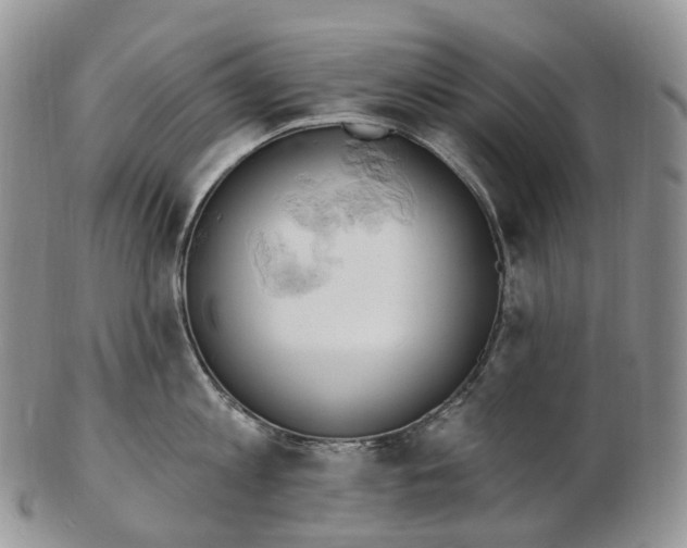 X0000102810813200809021157