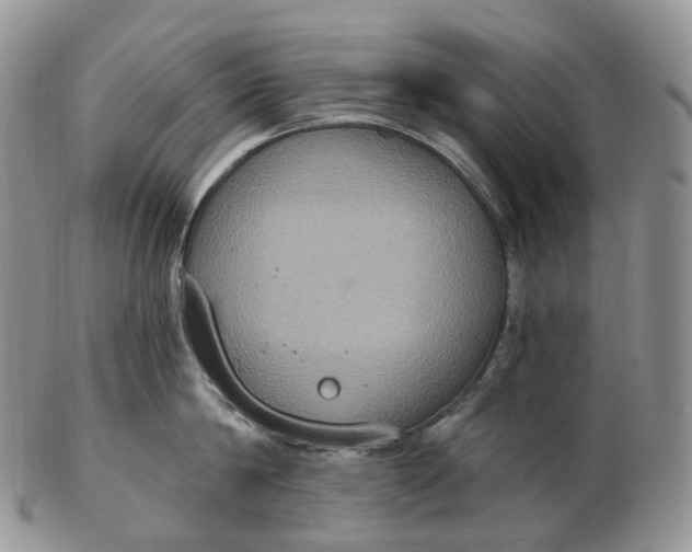 X0000102810814200809021157