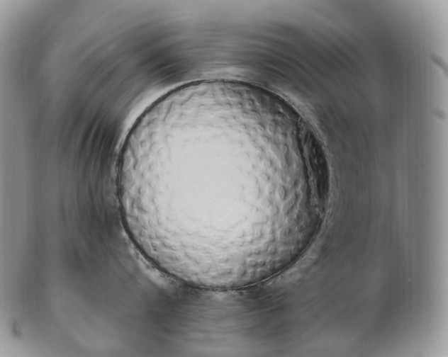 X0000102810816200809021157