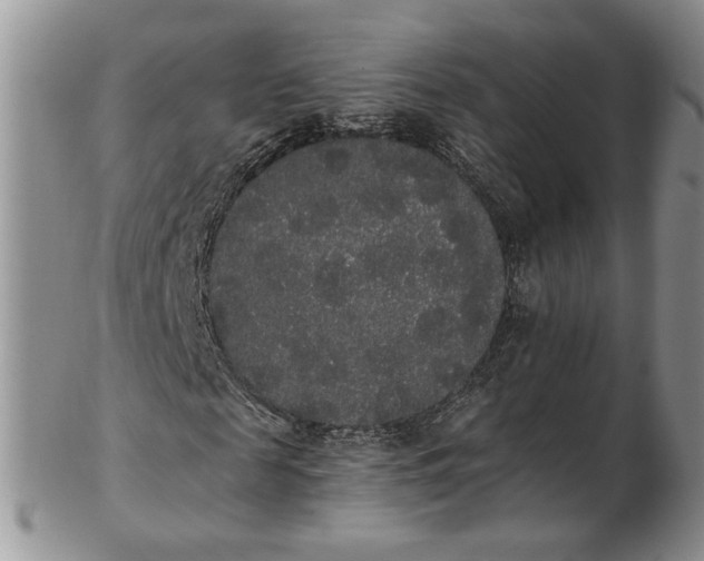 X0000102810817200809021157