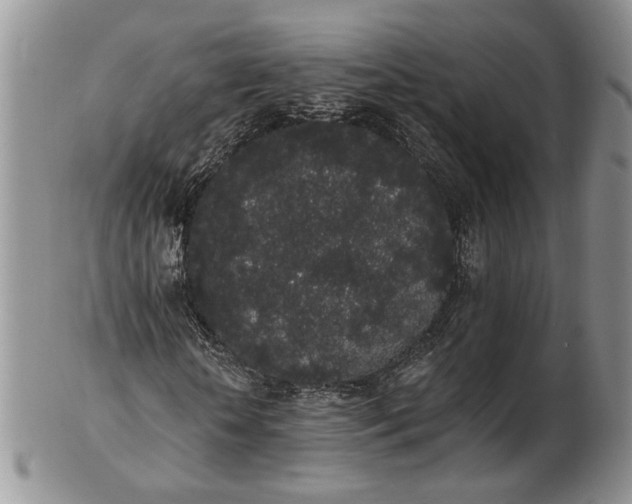 X0000102810818200809021157