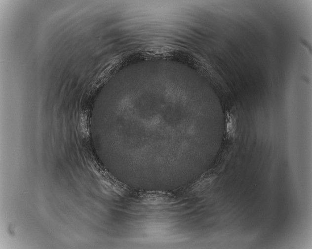 X0000102810819200809021157