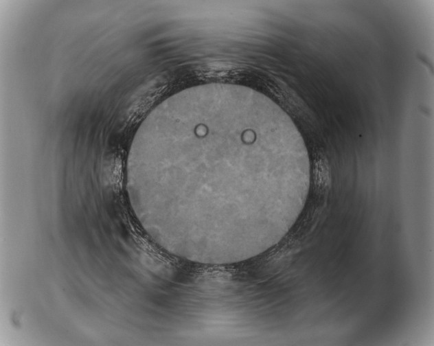 X0000102810820200809021157