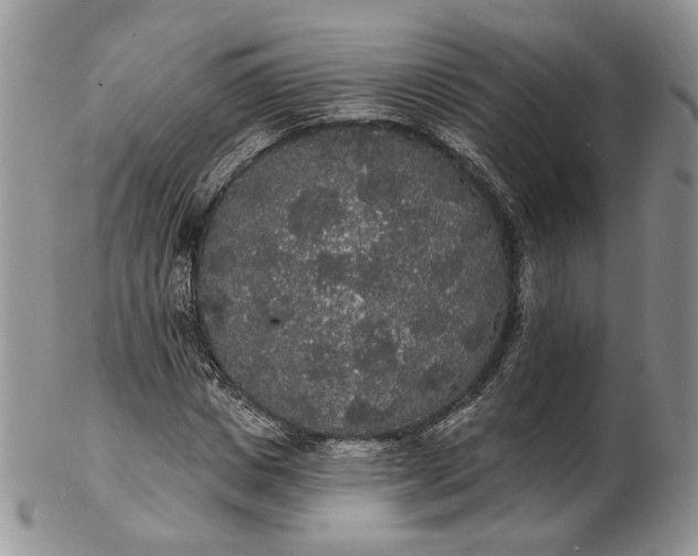 X0000102810825200809021157