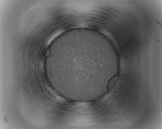 X0000102810826200809021157