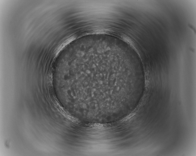 X0000102810827200809021157