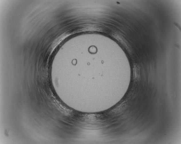 X0000102810828200809021157