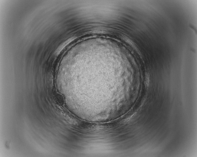 X0000102810829200809021157