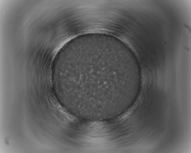 X0000102810830200809021157