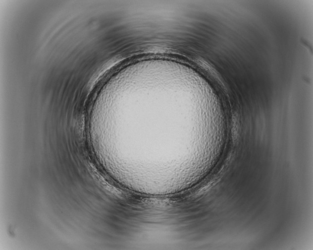 X0000102810831200809021157