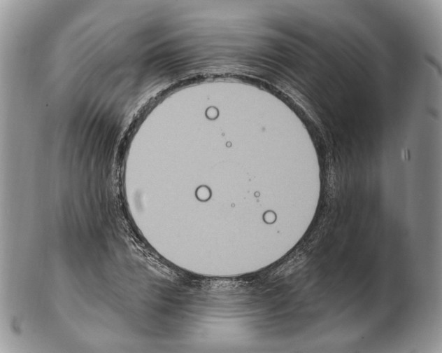 X0000102810832200809021157