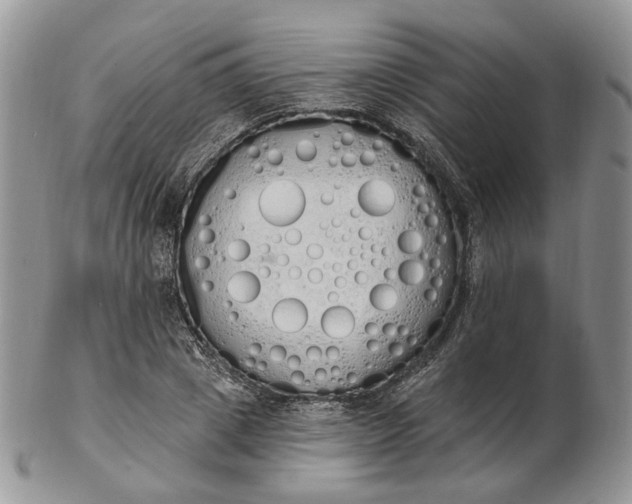 X0000102810833200809021157