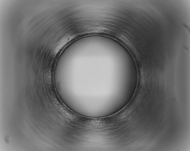 X0000102810834200809021157