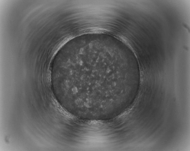 X0000102810835200809021157