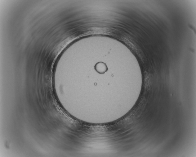 X0000102810836200809021157