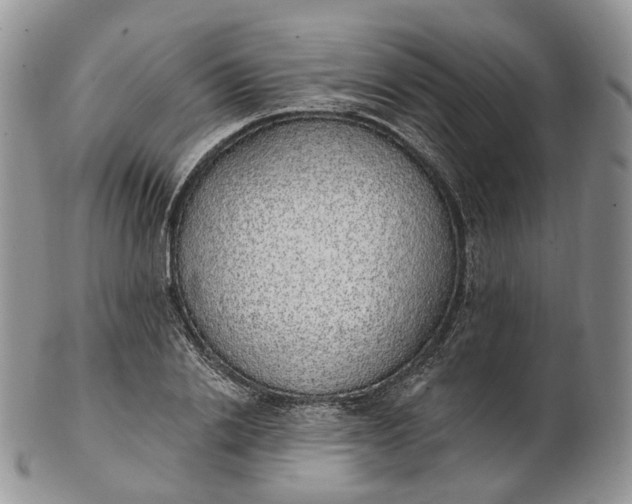 X0000102810838200809021157