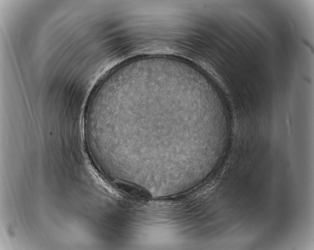 X0000102810840200809021157