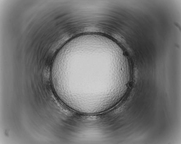 X0000102810841200809021157