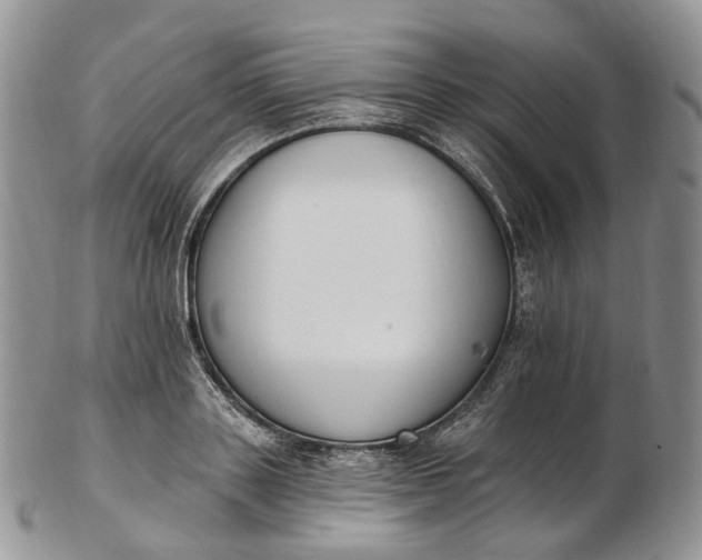 X0000102810843200809021157