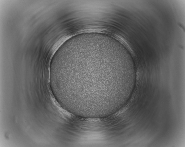 X0000102810844200809021157