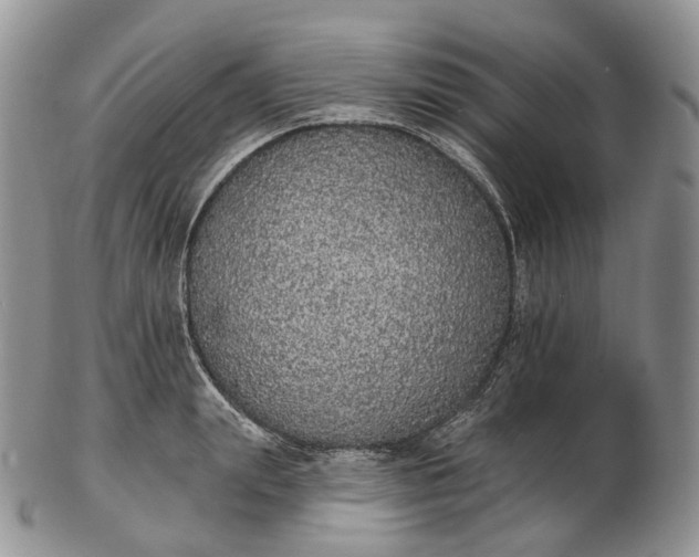 X0000102810847200809021157