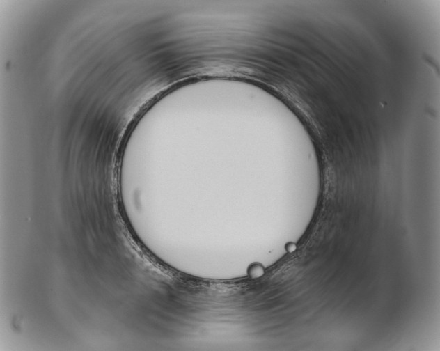 X0000102810848200809021157