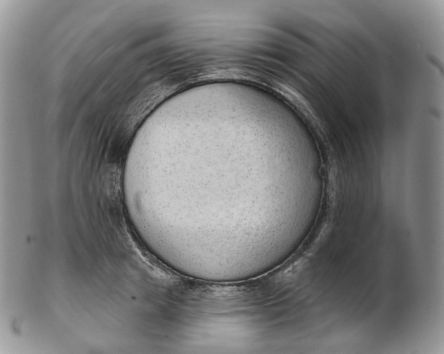 X0000102810849200809021157