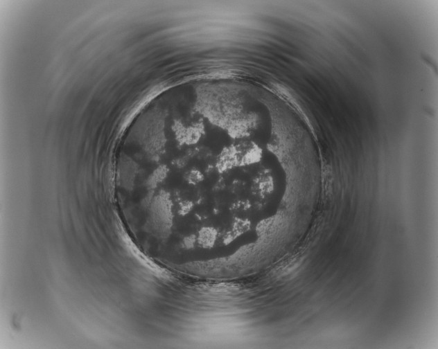 X0000102810851200809021157