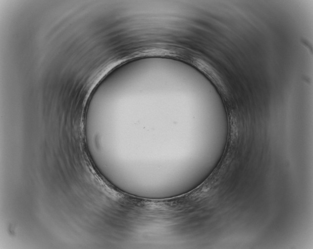 X0000102810852200809021157