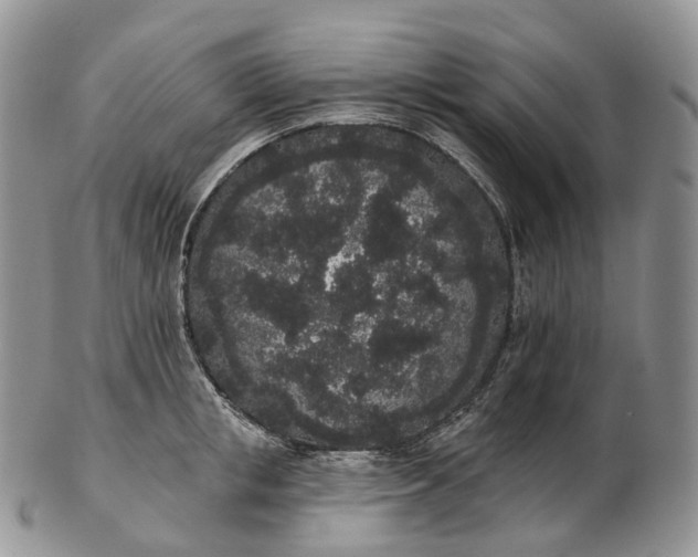 X0000102810853200809021157