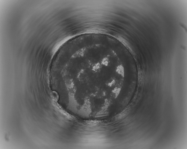 X0000102810854200809021157