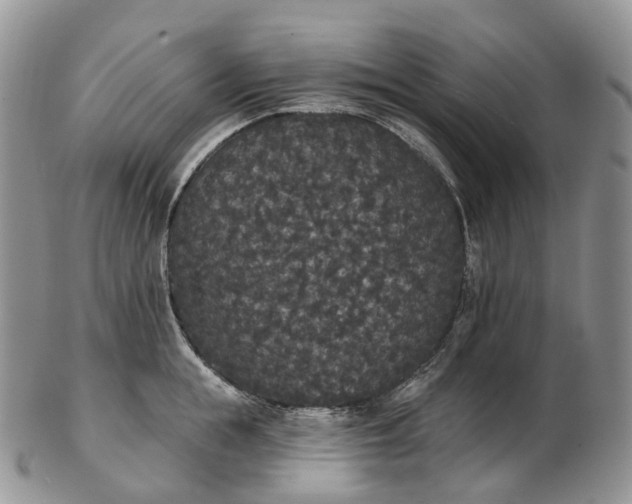 X0000102810855200809021157