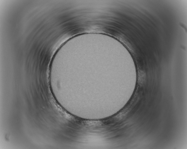 X0000102810856200809021157