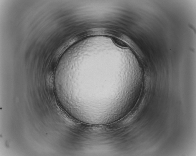 X0000102810857200809021157