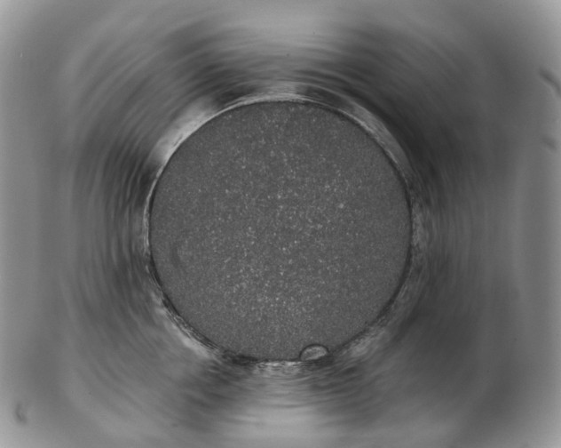 X0000102810858200809021157