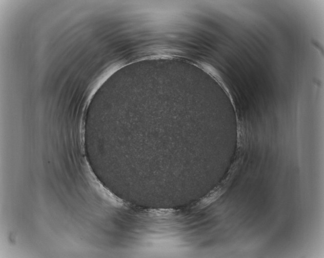 X0000102810859200809021157