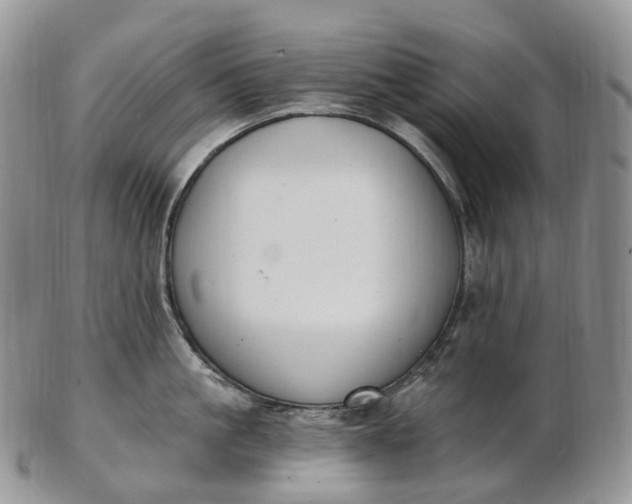 X0000102810861200809021157