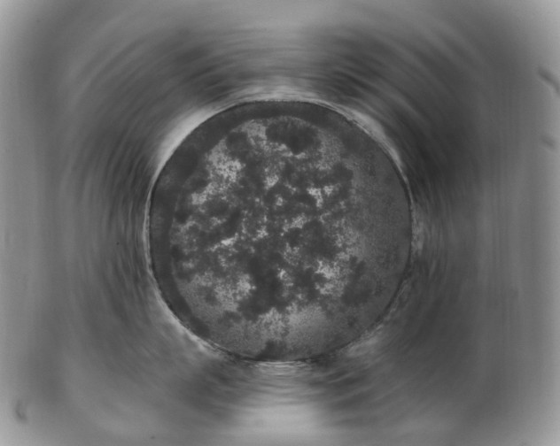 X0000102810863200809021157