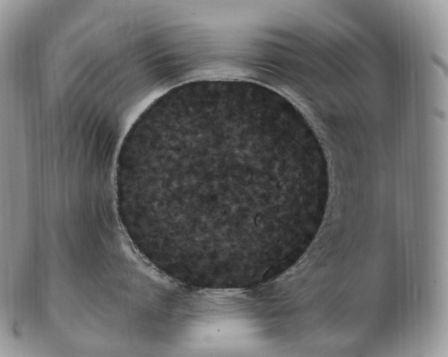 X0000102810864200809021157