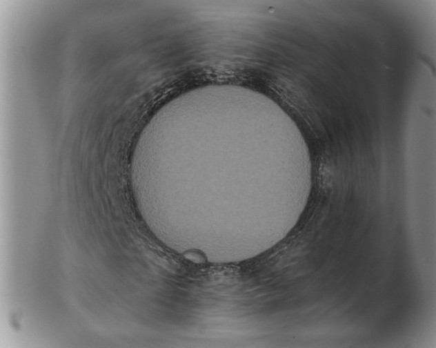 X0000102810865200809021157