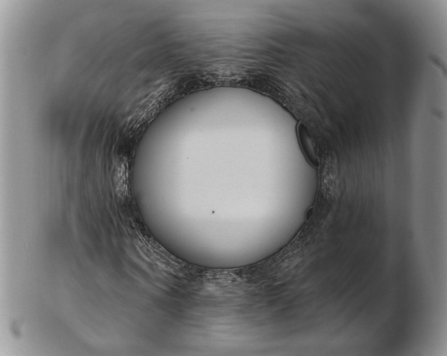 X0000102810866200809021157