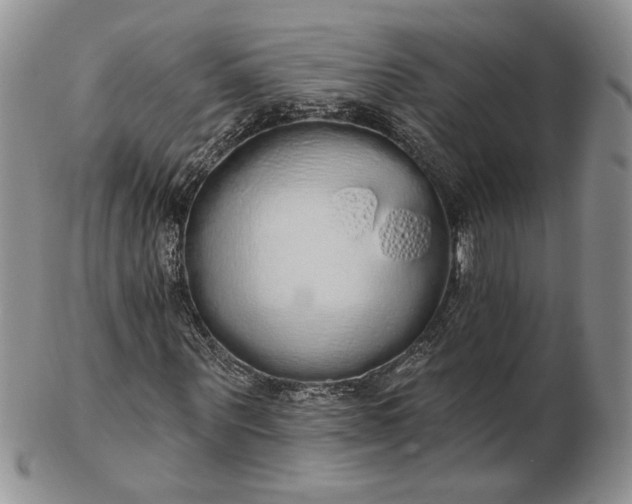 X0000102810867200809021157