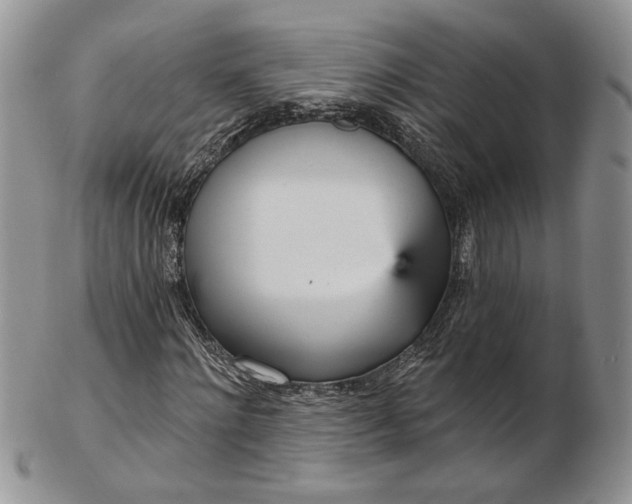 X0000102810868200809021157